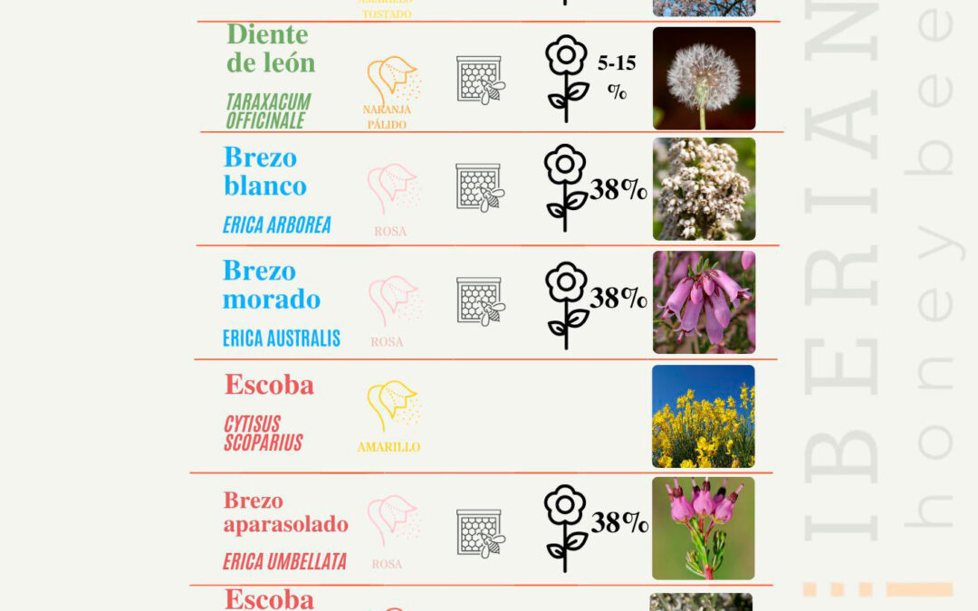 CALENDARIO DE FLORACIONES APÍCOLAS DE LA MIEL DE LEÓN